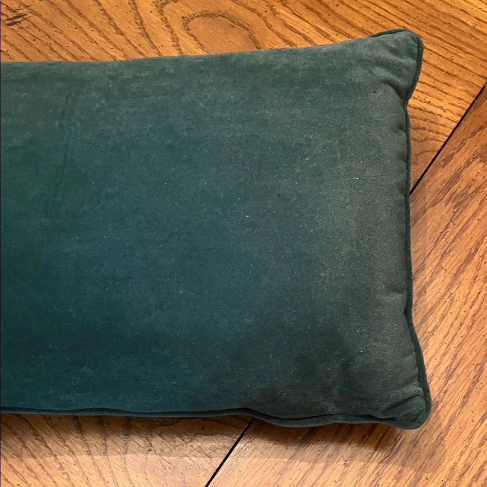 Cynthia Rowley Christmas Vacation velvet glamping pillow‎